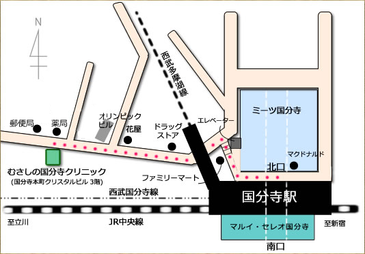 国分寺駅から、むさしの国分寺クリニックまでの経路、アクセスマップです