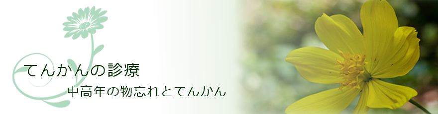 てんかんの診療・中高年の物忘れとてんかん